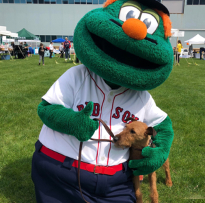 Pet Assisted Therapy